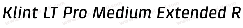 Klint LT Pro Medium Extended Regula字体转换